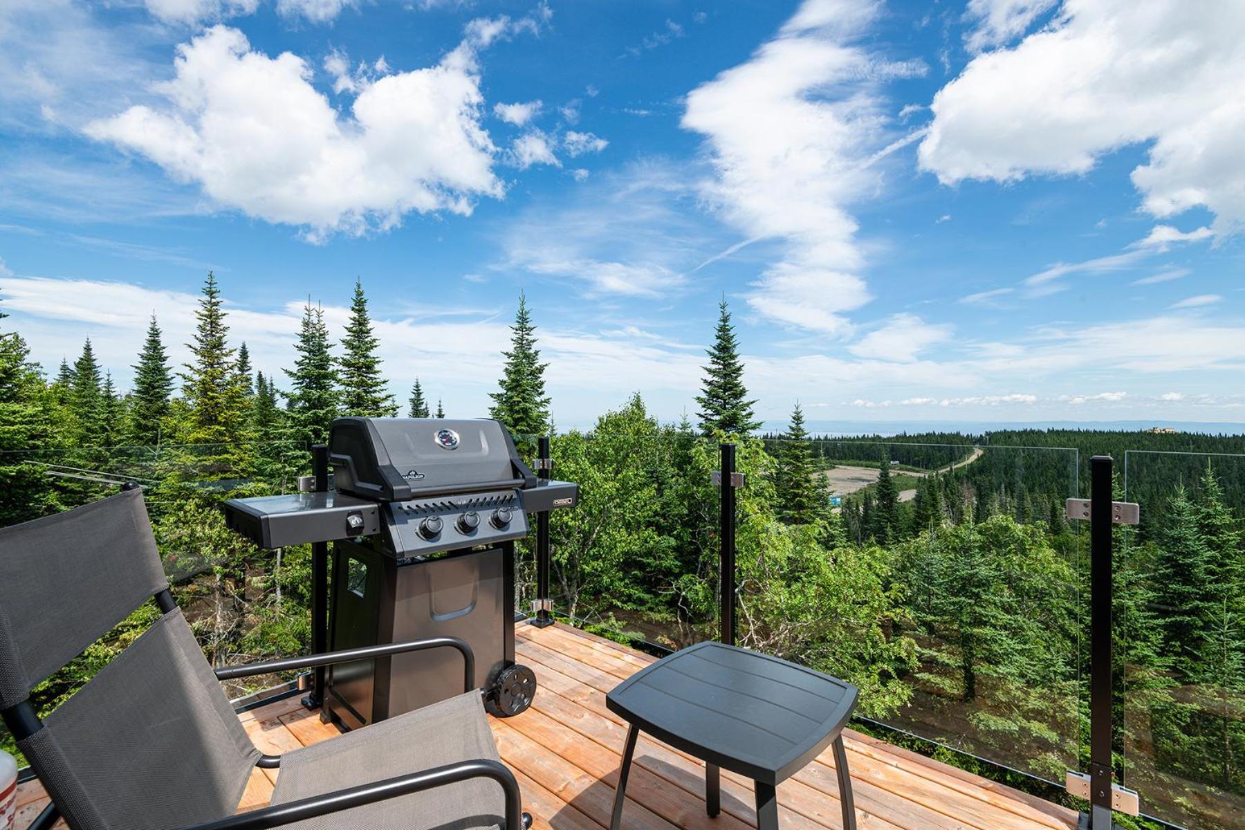 Les Chalets Du Massif De Charlevoix Petite-Riviere-Saint-Francois Værelse billede